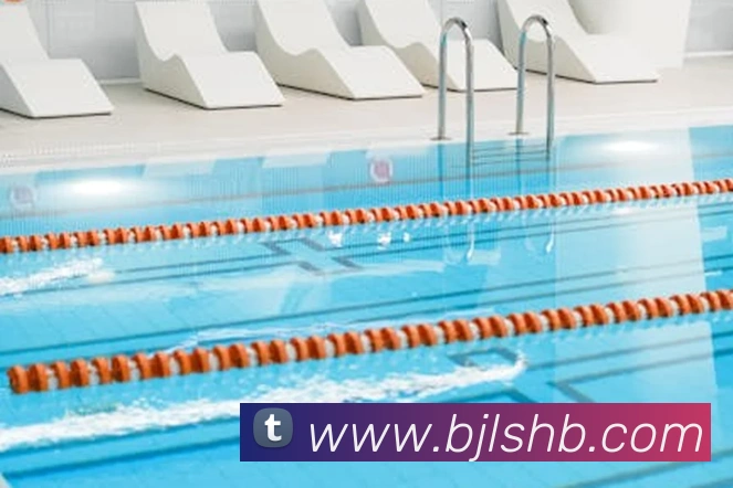 百家乐网站平台生态图